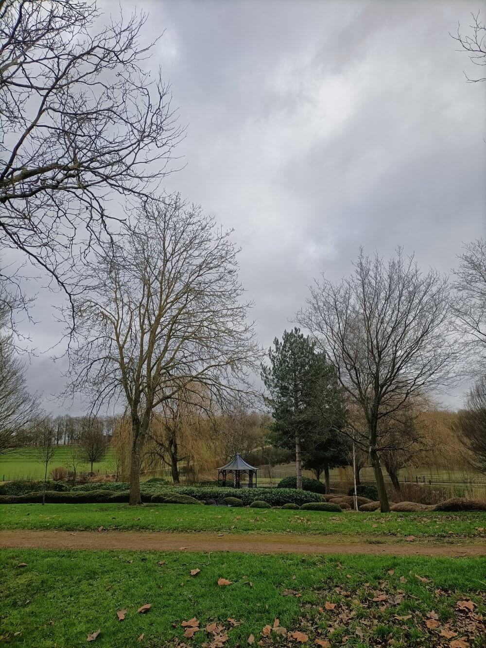 A cloudy day in a park with bare trees, a gazebo, and scattered fallen leaves on the ground. - Home Instead
