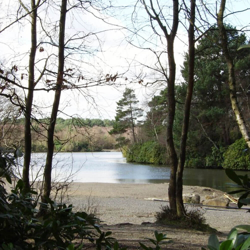 Hawley Lake view between the trees